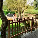 Lodge La D'ode *