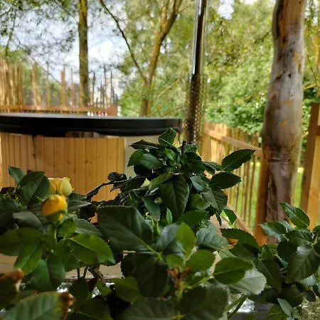 La D'ode Деревянный коттедж Sainte-Ode