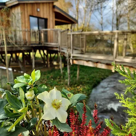 La D'ode Lodge Sainte-Ode