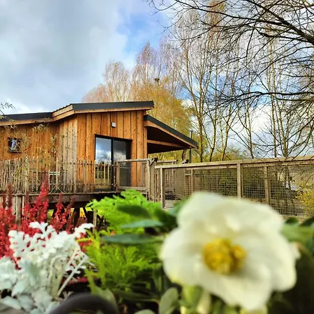 La D'ode بيت خشبي