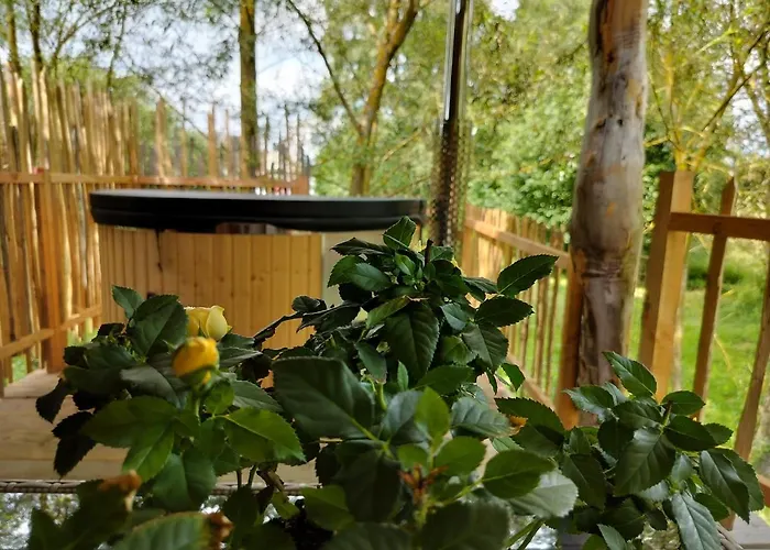 La D'ode Lodge Sainte-Ode