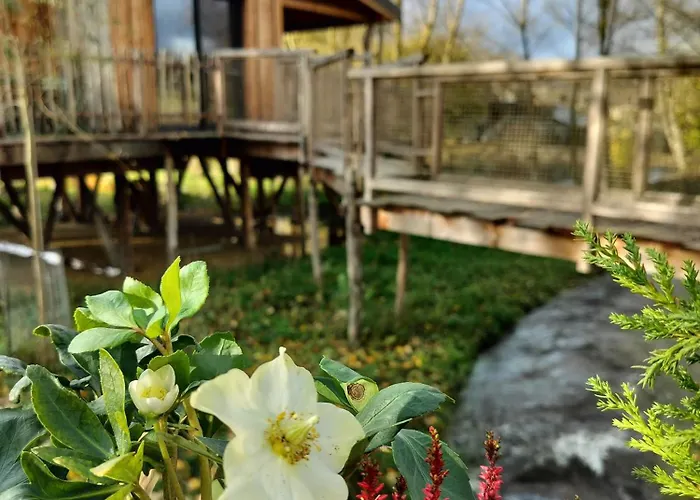 La D'ode Lodge Sainte-Ode